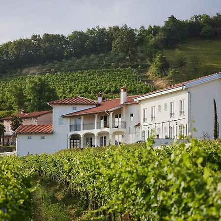 Peterc Vineyard Estate Acomodação com café da manhã Kojsko Exterior foto