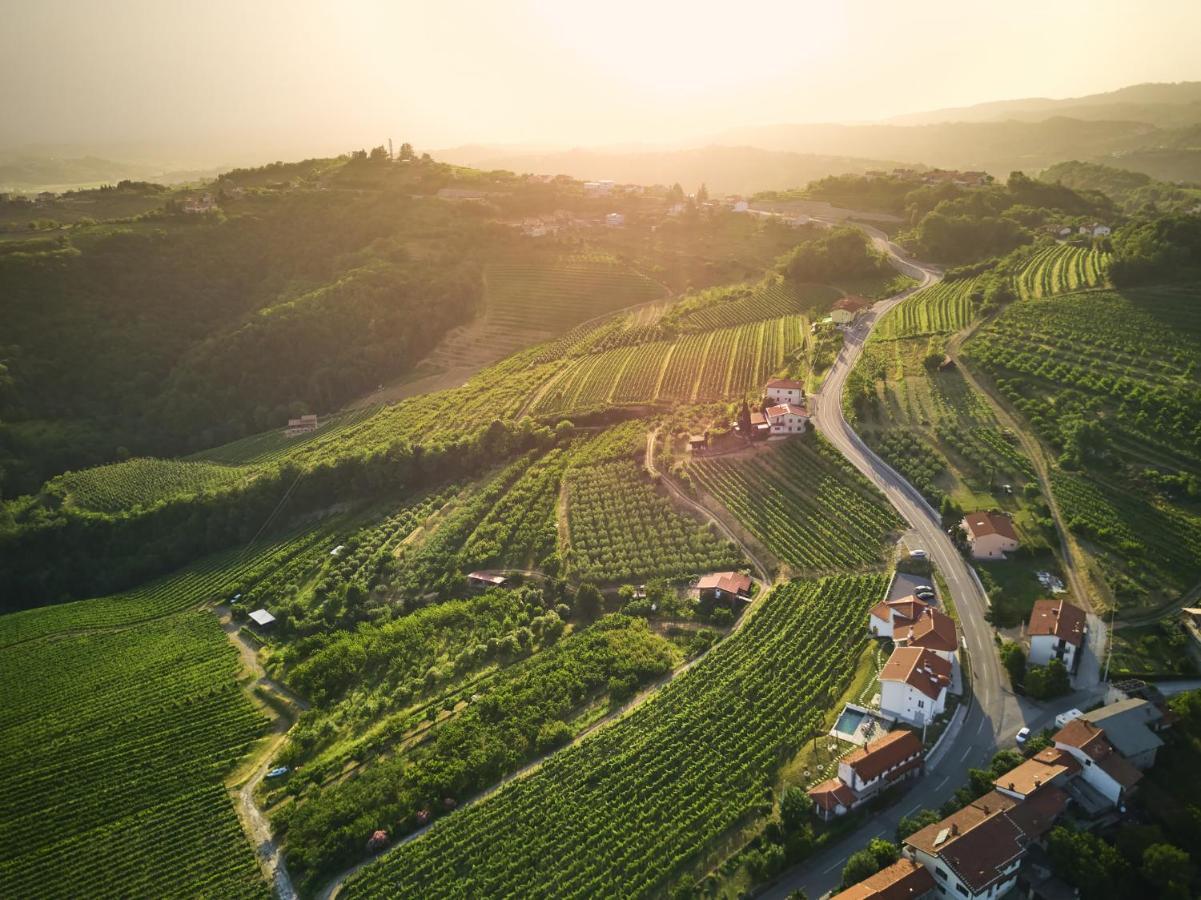 Peterc Vineyard Estate Acomodação com café da manhã Kojsko Exterior foto