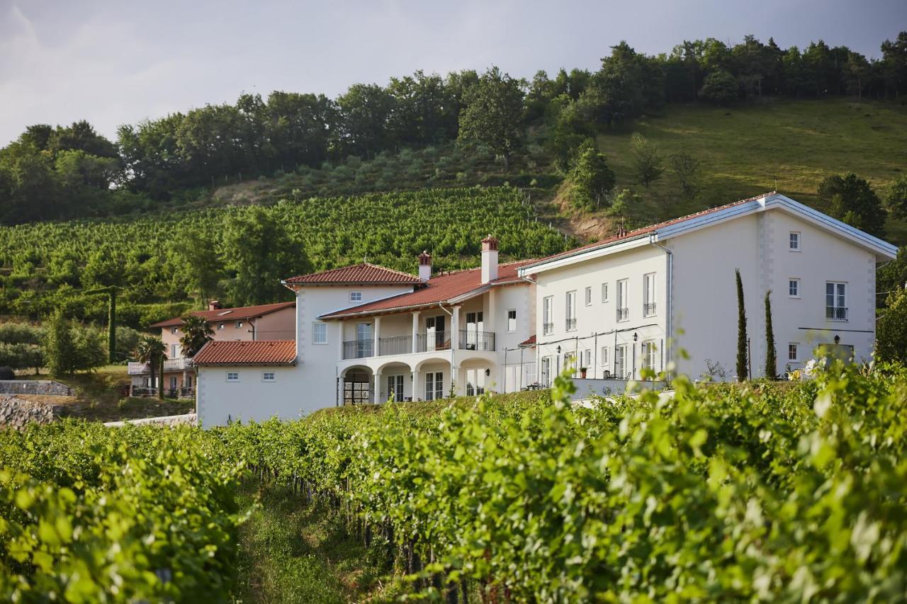 Peterc Vineyard Estate Acomodação com café da manhã Kojsko Exterior foto