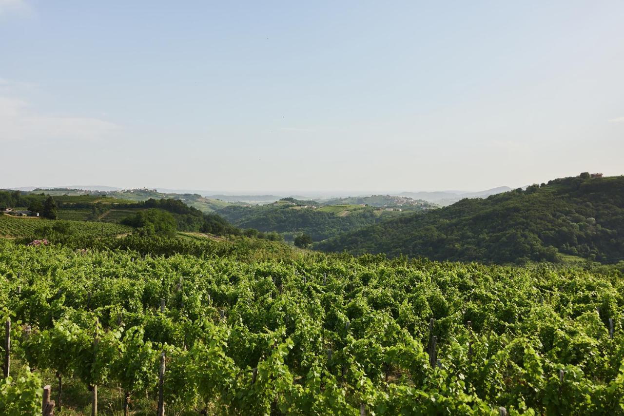 Peterc Vineyard Estate Acomodação com café da manhã Kojsko Exterior foto