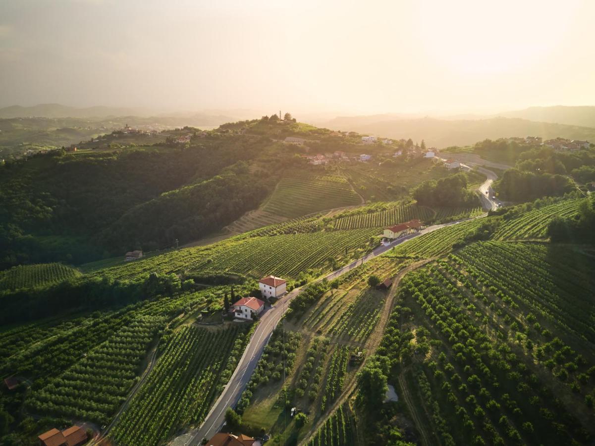 Peterc Vineyard Estate Acomodação com café da manhã Kojsko Exterior foto