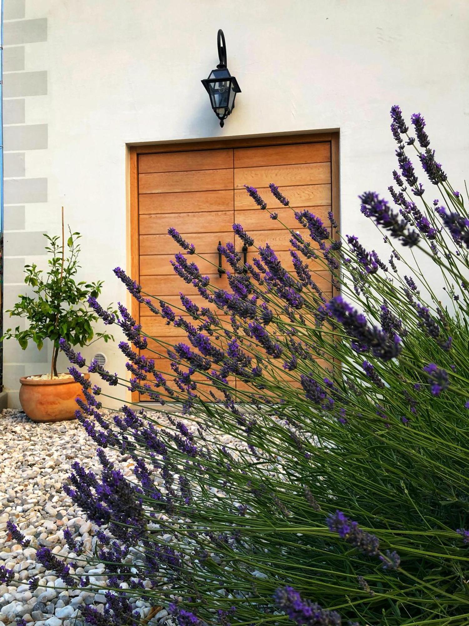 Peterc Vineyard Estate Kojsko Exterior foto