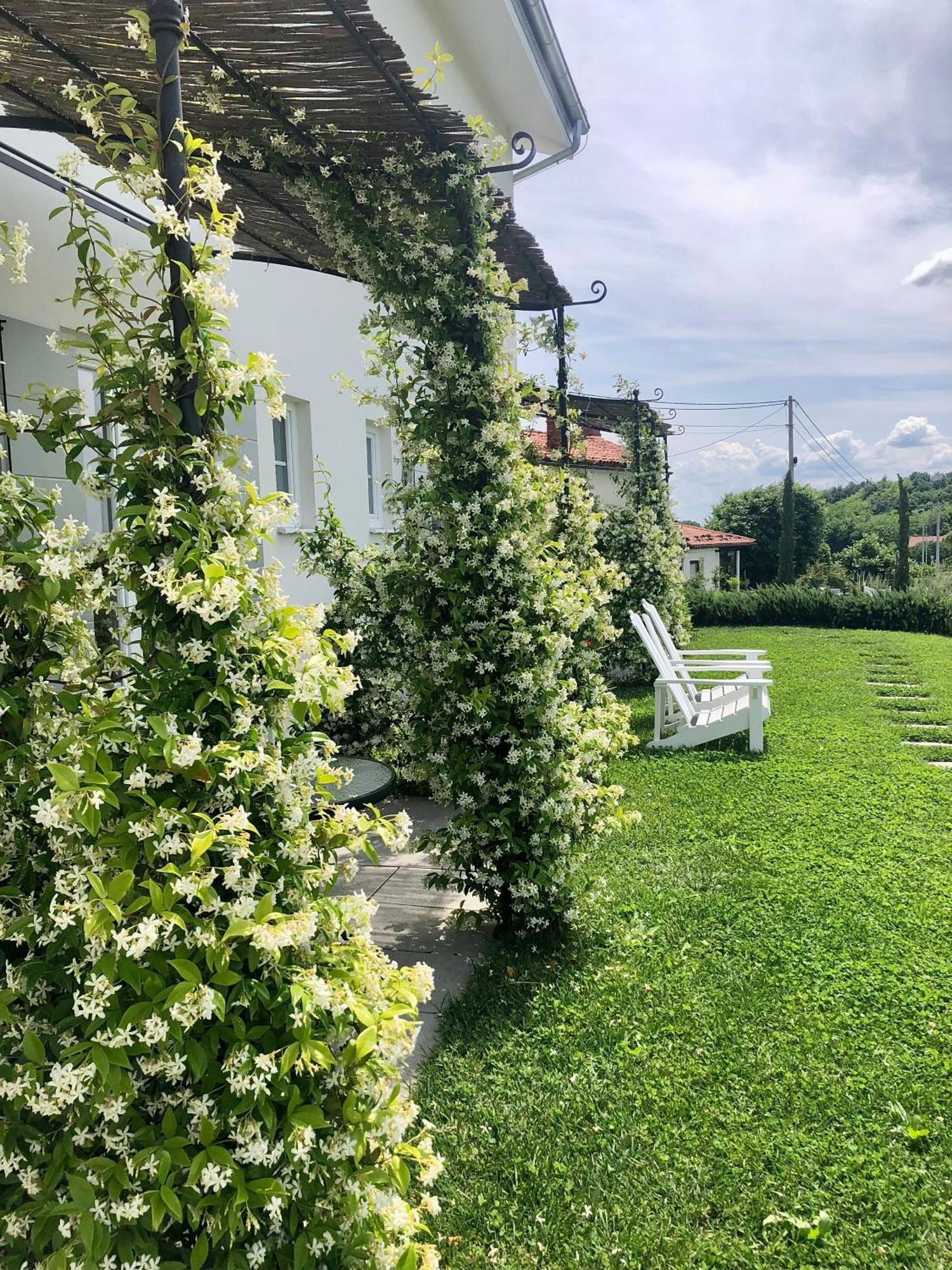 Peterc Vineyard Estate Kojsko Exterior foto